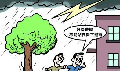 夏季突遇雷電如何防護(hù)